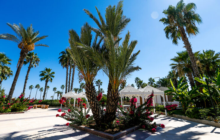 Adora resort hotel belek 3