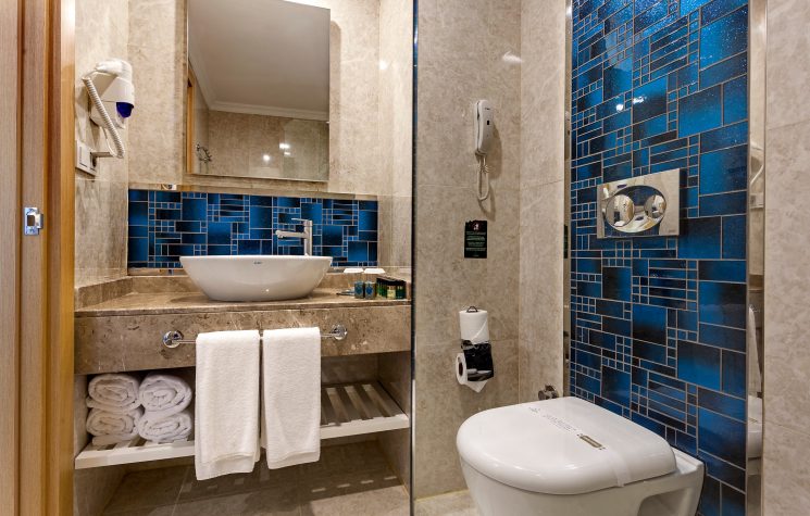 Karmir Resort & Spa Standart Oda Banyo
