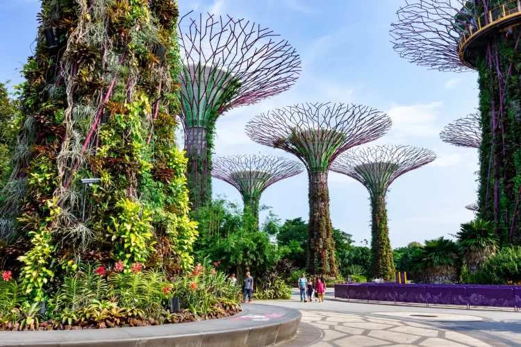 Kuala Lumpur - Singapur - Bali Turu-4