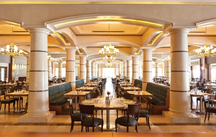 Paloma Grida 16 Paloma Grida 16