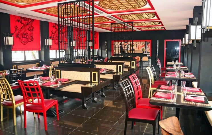 Paloma Grida 17 Paloma Grida 17