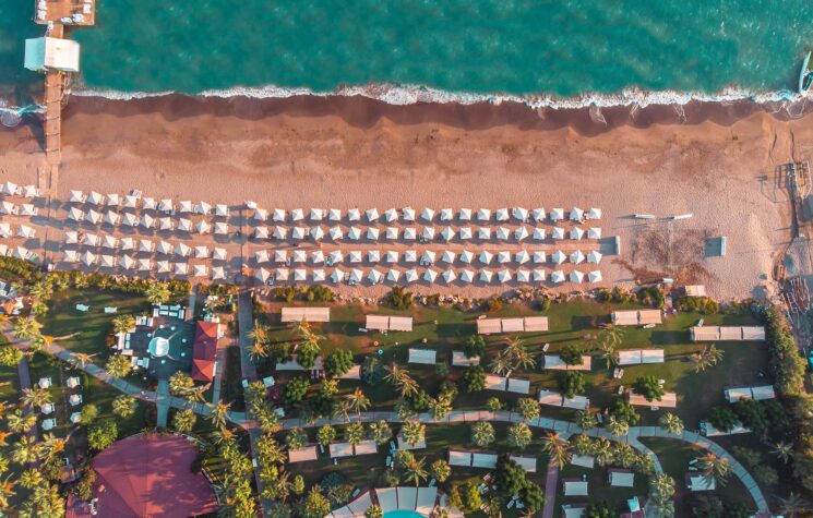 Paloma Grida 6 Paloma Grida 6