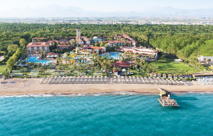 Paloma Grida 8 Paloma Grida 8