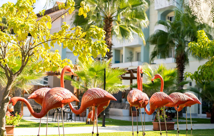 Süral Resort Hotel 10