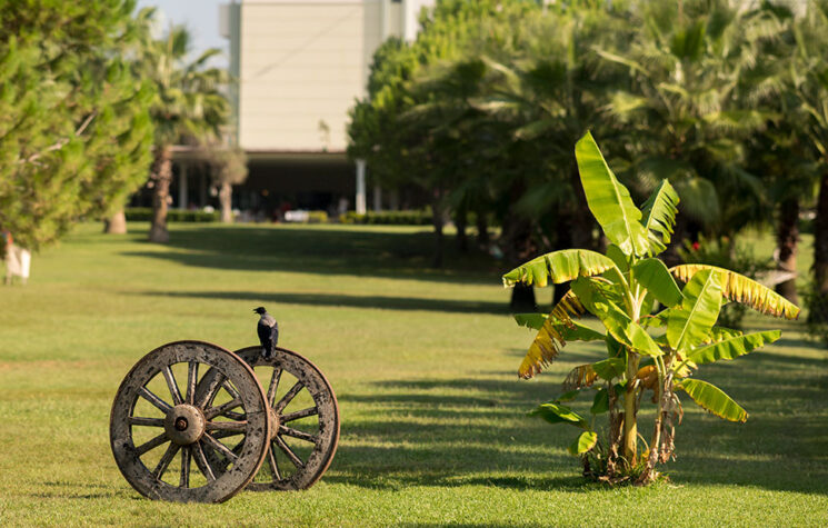 Süral Resort Hotel 13