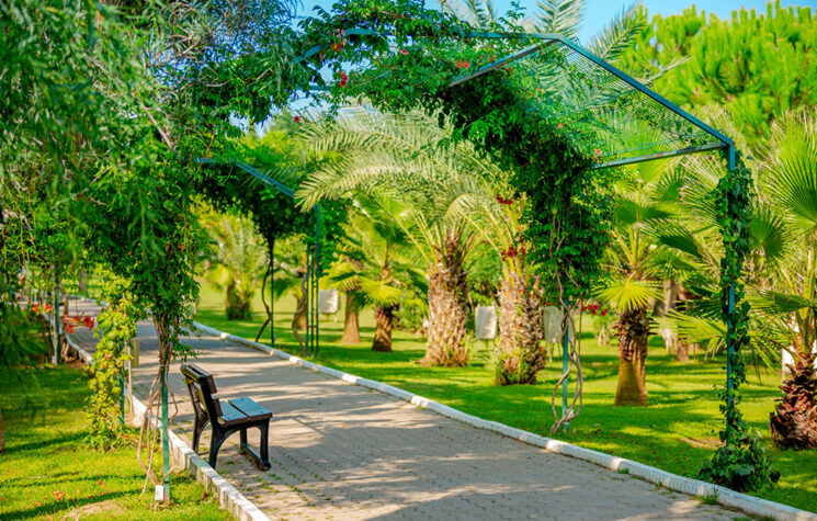 Süral Resort Hotel 8
