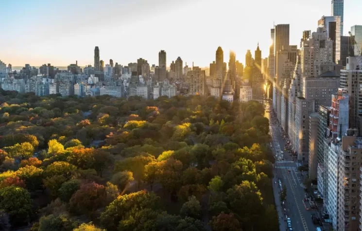 Thompson Central Park New York 16 Thompson Central Park New York 16